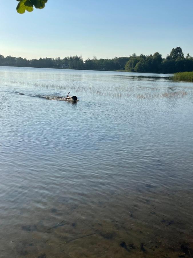Woodhouse Resort Dobrogoszcz Eksteriør billede